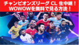 無料視聴！チャンピオンズリーグ決勝 放送地上波テレビなし！日本時間のいつ放送？