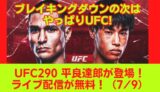 UFC290 平良達郎 生配信を無料視聴する方法 U-NEXTでいつやる？