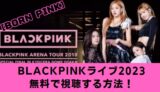 BLACKPINK日本ライブ2023チケットの購入方法