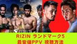 rizin ライジン ランドマーク5　最安値 PPV　動画
