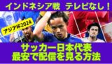 2024アジアカップ　日本代表　サッカー　配信　最安値　DAZN　無料