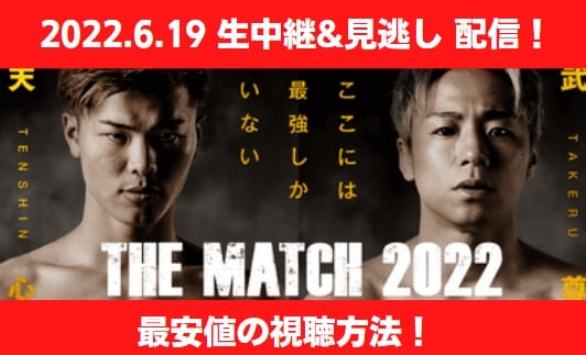 天心　武尊 abema　the match 動画視聴方法